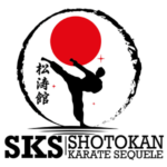 SHOTOKAN KARATE SEQUELE